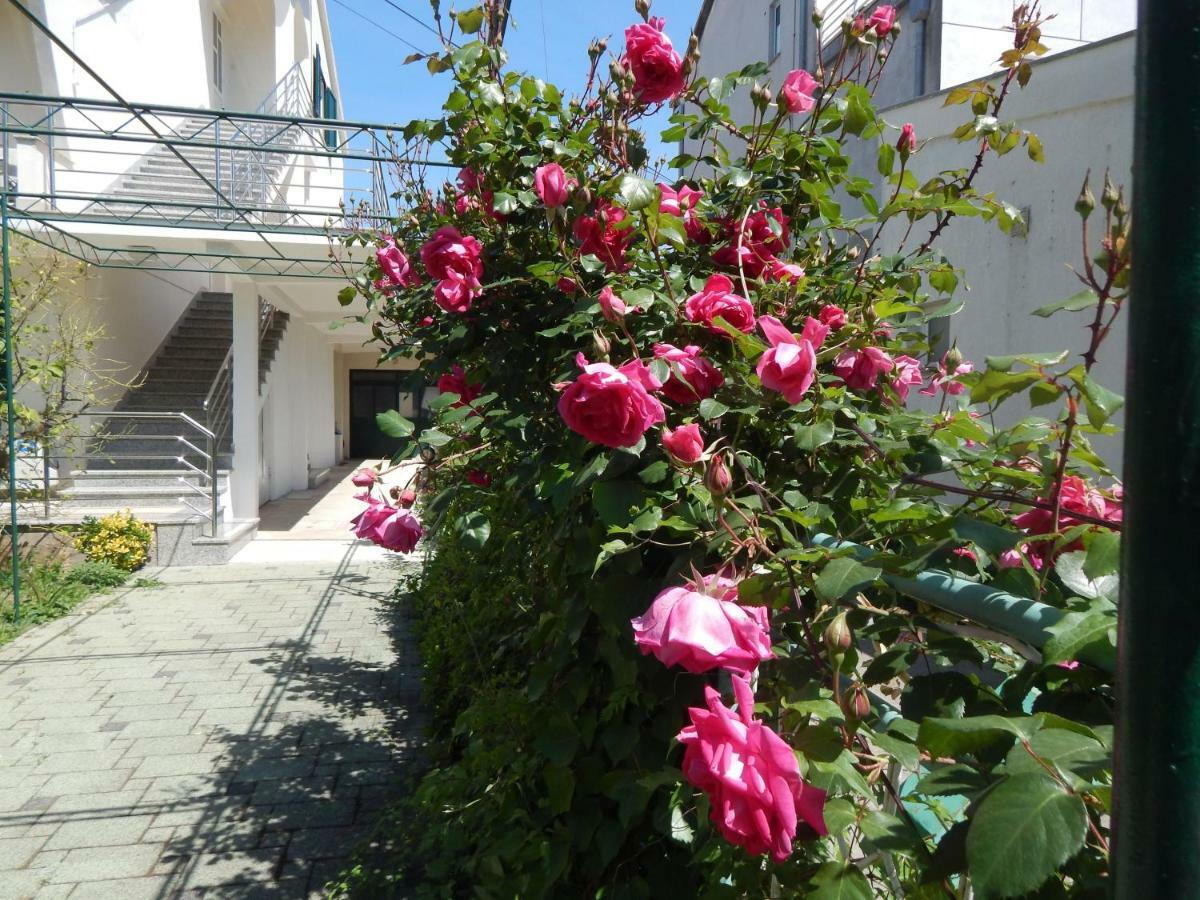 Lemon Tree Apartments Zadar Eksteriør bilde